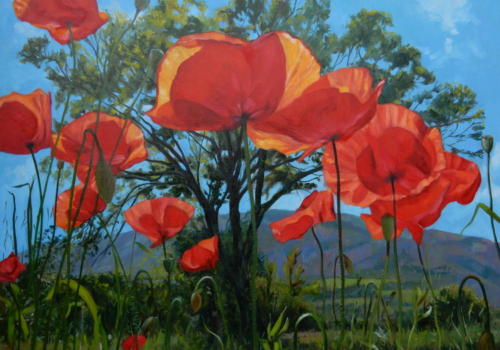 1713-monte subasio-105x150cm.